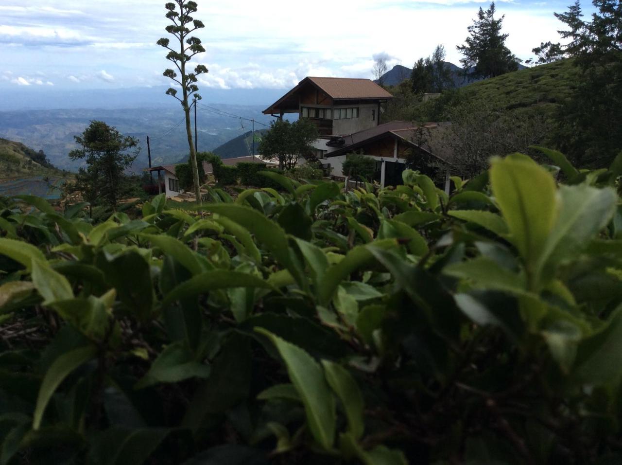 Hill Safari - Tea Estate Villa Ohiya Exterior foto
